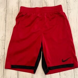 Nike Dri-Fit Shorts SZ Large